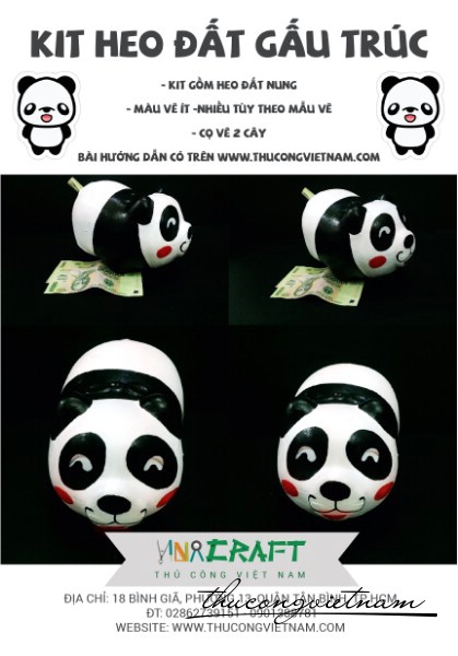 Kit heo gấu trúc